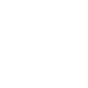 Thank you for your purchase